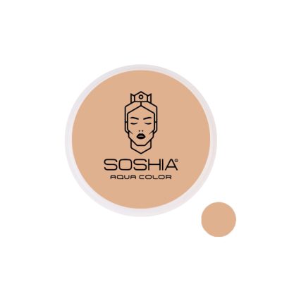 پنکک سنگی و استخری سوشیا آکوا SOSHIA T330